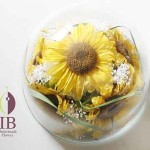 Thumbnail of post image 061