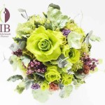 Thumbnail of post image 178