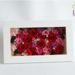 Thumbnail of post image 179