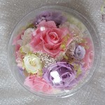 Thumbnail of post image 182