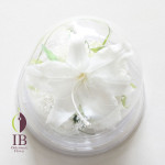 Thumbnail of post image 194