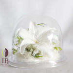 Thumbnail of post image 094