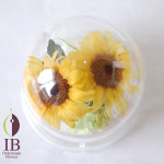 Thumbnail of post image 172