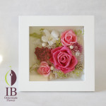 Thumbnail of post image 049