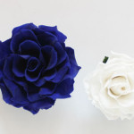 Thumbnail of post image 128