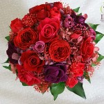 Thumbnail of post image 132