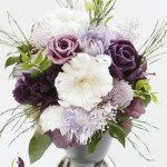 Thumbnail of post image 113