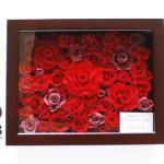 Thumbnail of post image 086