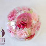 Thumbnail of post image 150