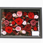 Thumbnail of post image 197