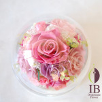 Thumbnail of post image 192