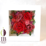 Thumbnail of post image 042