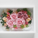 Thumbnail of post image 120