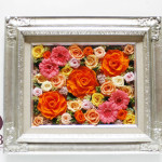 Thumbnail of post image 186