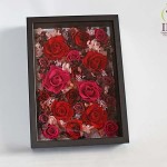 Thumbnail of post image 089