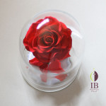 Thumbnail of post image 095