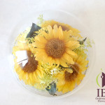 Thumbnail of post image 050