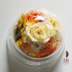 Thumbnail of post image 037