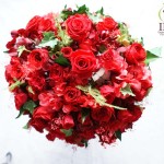 Thumbnail of post image 165