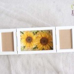 Thumbnail of post image 092