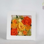 Thumbnail of post image 178