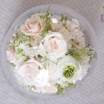 Thumbnail of post image 133