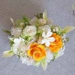 Thumbnail of post image 137