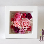 Thumbnail of post image 191