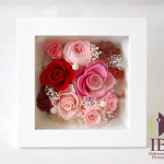 Thumbnail of post image 137