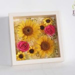 Thumbnail of post image 109