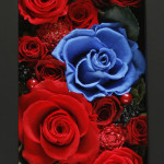 Thumbnail of post image 072