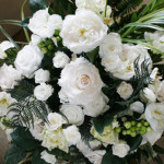 Thumbnail of post image 097