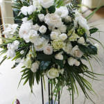 Thumbnail of post image 081