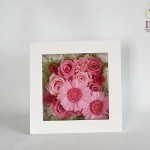 Thumbnail of post image 005