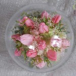 Thumbnail of post image 081