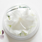 Thumbnail of post image 193