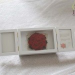 Thumbnail of post image 103