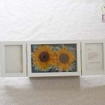 Thumbnail of post image 122