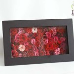 Thumbnail of post image 035