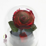 Thumbnail of post image 075