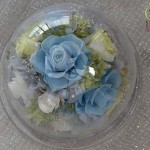 Thumbnail of post image 036