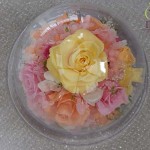 Thumbnail of post image 099