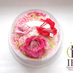 Thumbnail of post image 036