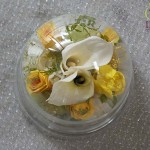 Thumbnail of post image 088