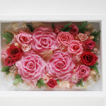 Thumbnail of post image 064