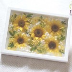 Thumbnail of post image 178