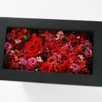 Thumbnail of post image 078