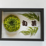 Thumbnail of post image 076