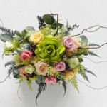 Thumbnail of post image 161