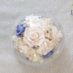 Thumbnail of post image 050